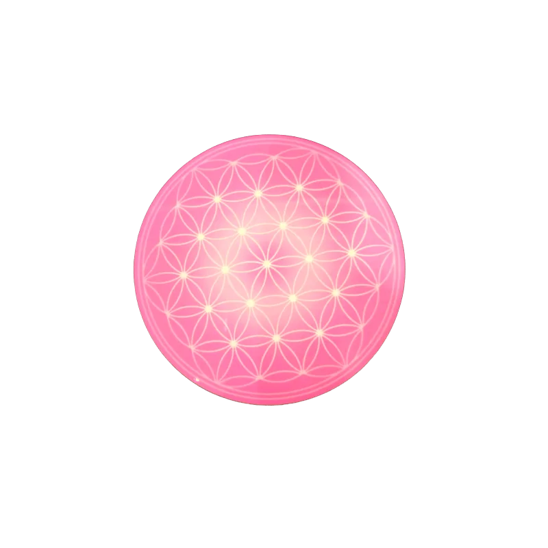 2026_05_06_64197