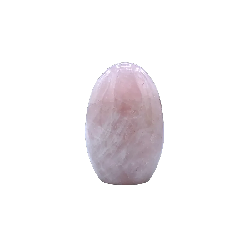 2026_05_06_68558