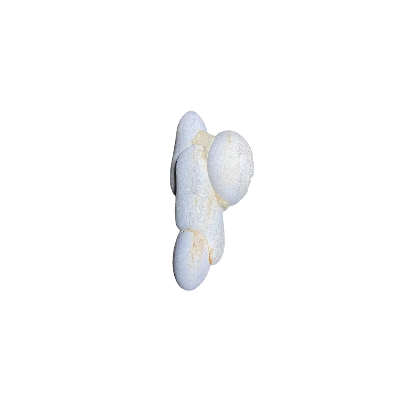 2026_05_06_95329