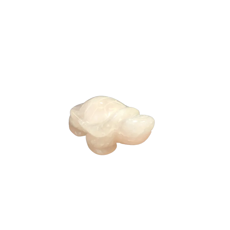 2026_05_06_97568